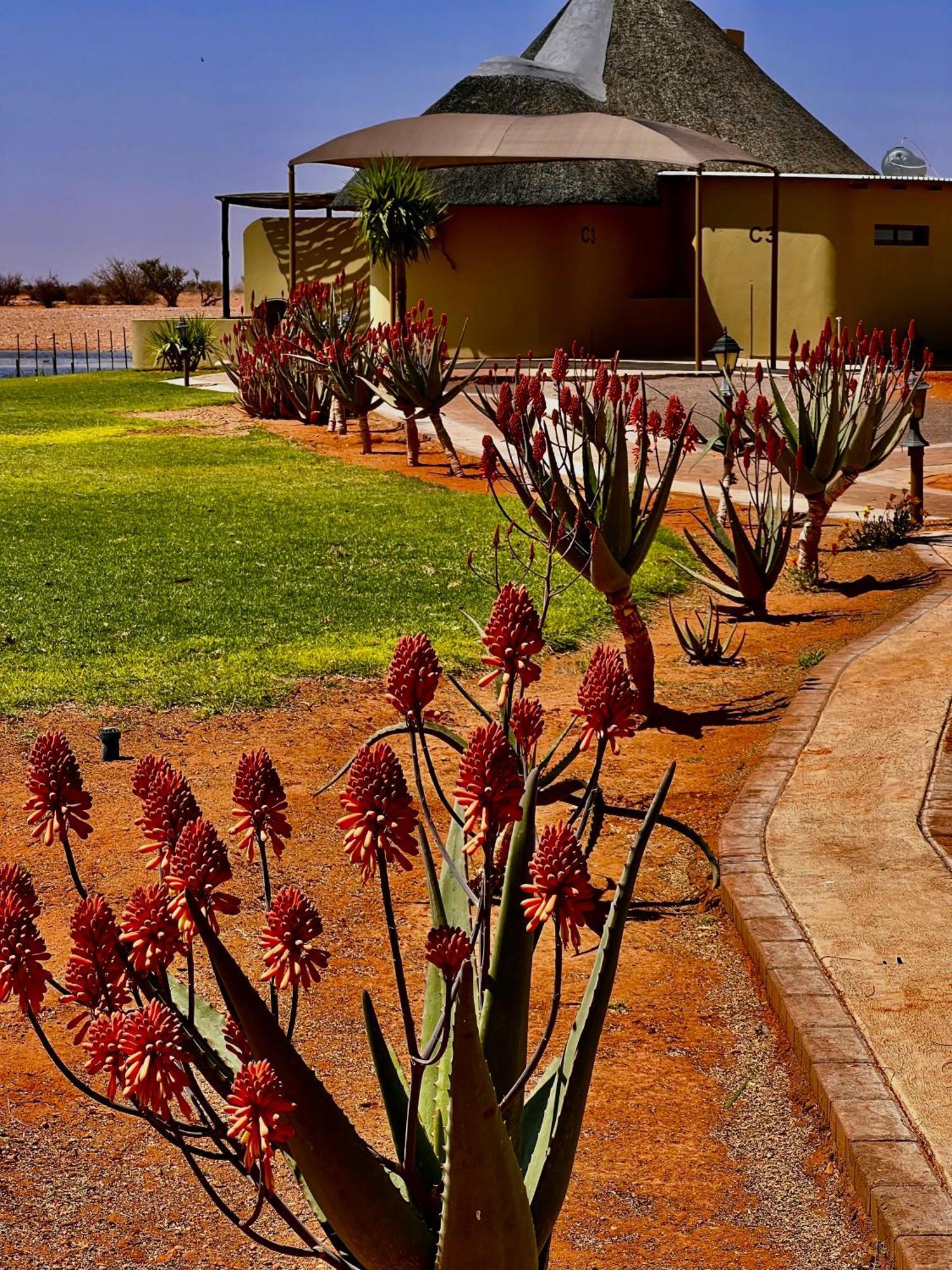Lapa Lange Game Lodge Mariental Luaran gambar